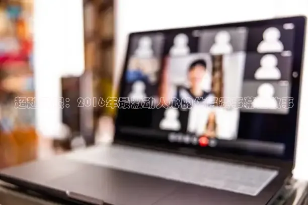 鲸鱼体育官网